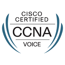 Cisco certified CCNA voice badge